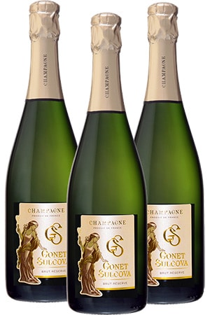 Coffret Champagne 6 Bouteilles Découverte Premier Cru