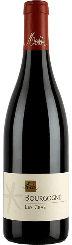 Guide et conseil : meilleur vin rouge de Bourgogne