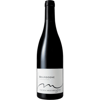 Bourgogne Rouge du Domaine Lucien Muzard